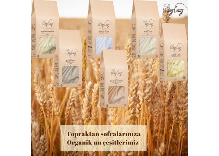 Organik Glutensiz Yeşil Mercimek Unu (500gr) - Windy Valley